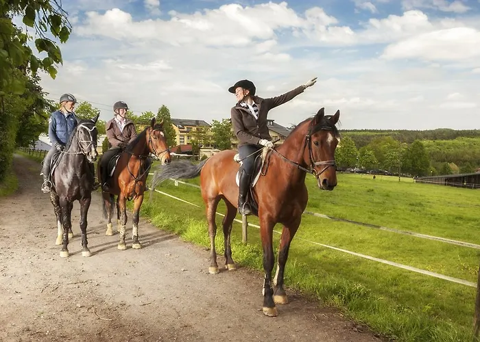 Resort Dormero Bonn 4*