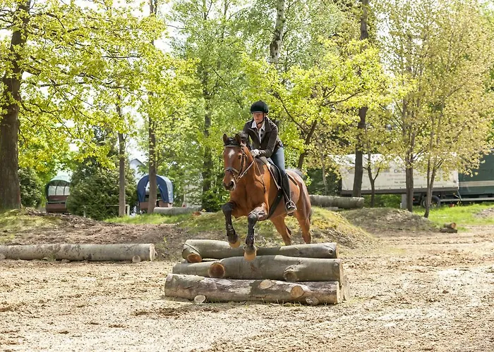 Resort Dormero Bonn Windhagen